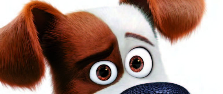 PETS
